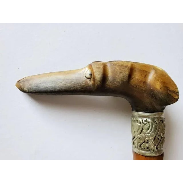 Figurative Early 20th Century Hand Carved Italian Greyhound Walking Cane For Sale - Image 3 of 11