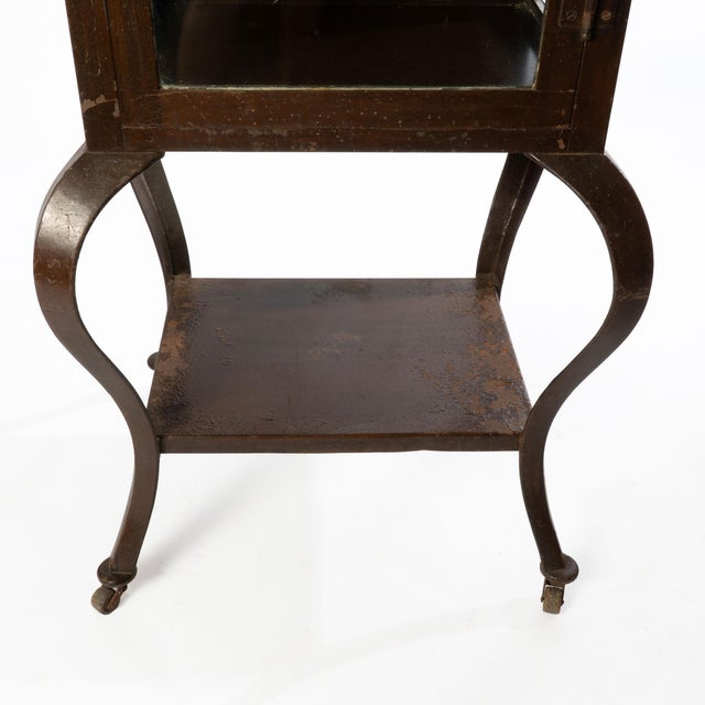 Steel Medical Cabinet, great use for a storage cabinet.