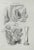 Ottavio Muzzi, Diseases of the Uterus, Lithograph, 1843 For Sale