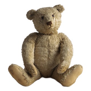 Vintage Teddy from Steiff, 1920s For Sale