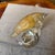 1990s Barovier Style Modern White and Gold Murano Glass Dolphin For Sale - Image 6 of 12
