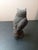 GORGEOUS Vintage Bronze 6" Owl Figurine This is a stunning vintage bronze figurine of an owl. The intricate details of the...