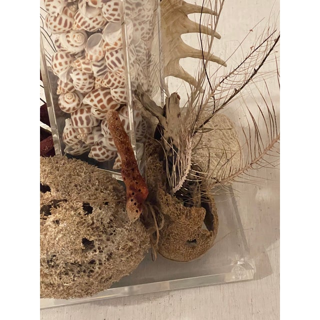 1950s Organic Modern Sea World Sea Shells Floor Lamp For Sale In Miami - Image 6 of 11