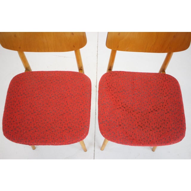 Set of Chairs by Ton, Czechoslovakia, 1965 For Sale - Image 12 of 15