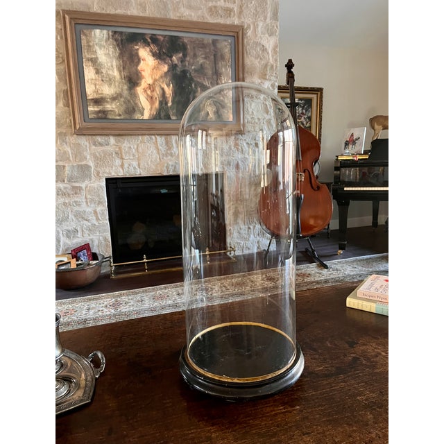 Imported from France. Clear glass cloche on hand crafted round footed base. Amazing patina. Perfect to display old books...