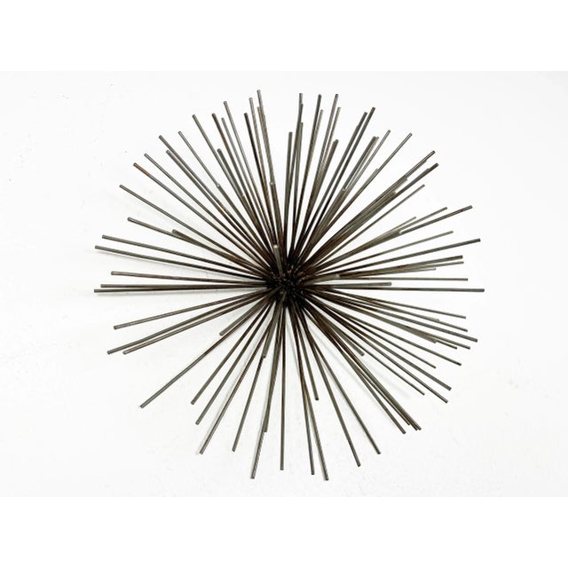 Large Vintage Sea Urchin Sunburst Wall Sculpture For Sale - Image 4 of 11