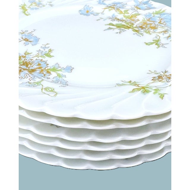 Haviland & Co. Haviland Limoges Porcelain Plates, Margaux - Set of 6 For Sale - Image 4 of 9
