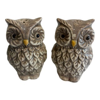 Vintage Ceramic Owl Salt and Pepper Shakers — A Pair For Sale
