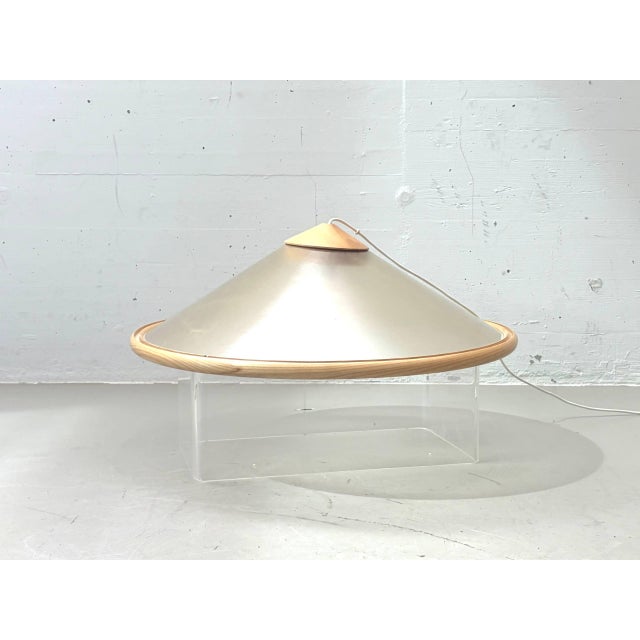 Ceiling Light in Fiberglass and Wood by Giovanni Offredi for MC Selvini, Italy, 1970s For Sale - Image 5 of 18