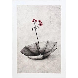 Andrew Scott, Bloom, 2024, Paper For Sale