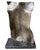 Torso Marone Variation, a classic motif, as pleasing today as it was in Greco-Roman time. This cast bronze torso with a...