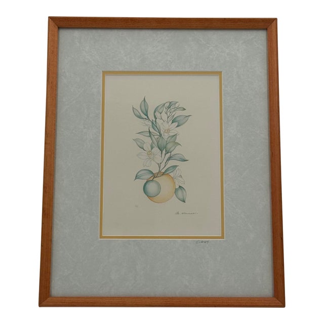 Margot Weemaes 1981 Citrus Botanical Portfolio Print For Sale