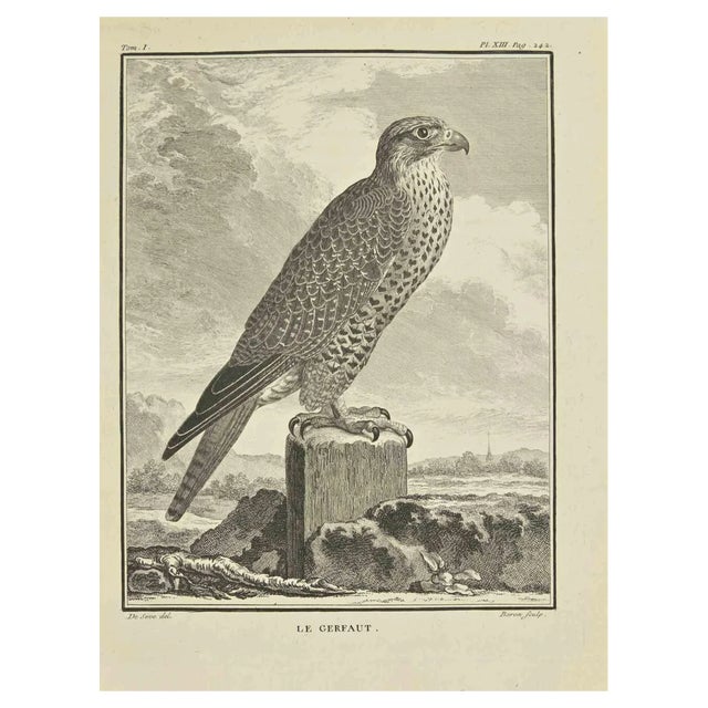 Bernard Baron, Le Gerfaut, Etching, 1771 For Sale