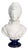 Bust of Marie Antoinette in Sèvres Biscuit Porcelain, 1900s For Sale