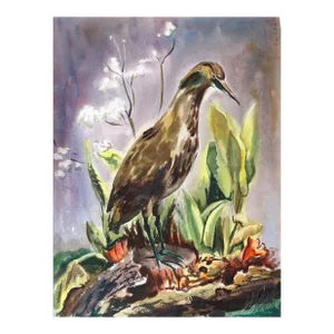 1950s "Bird P6.17" Watercolor Painting by Eve Nethercott