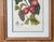 Mid 20th Century Vintage Botanical Floral Prints, l'Ile De Java, Framed, a Pair Reproduction For Sale - Image 5 of 12