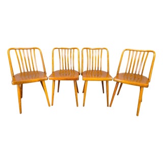 Dining Chairs by Antonin Suman for Ton, 1960s, Set of 4 For Sale