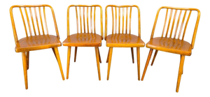 Dining Chairs by Antonin Suman for Ton, 1960s, Set of 4