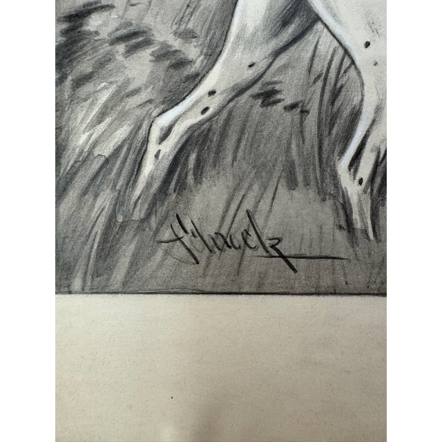 1940s Original Signed Graphite Illustration of Bird Dog and Hunter in Forest, 13.25 In. H × 11 In. W For Sale In Atlanta - Image 6 of 7