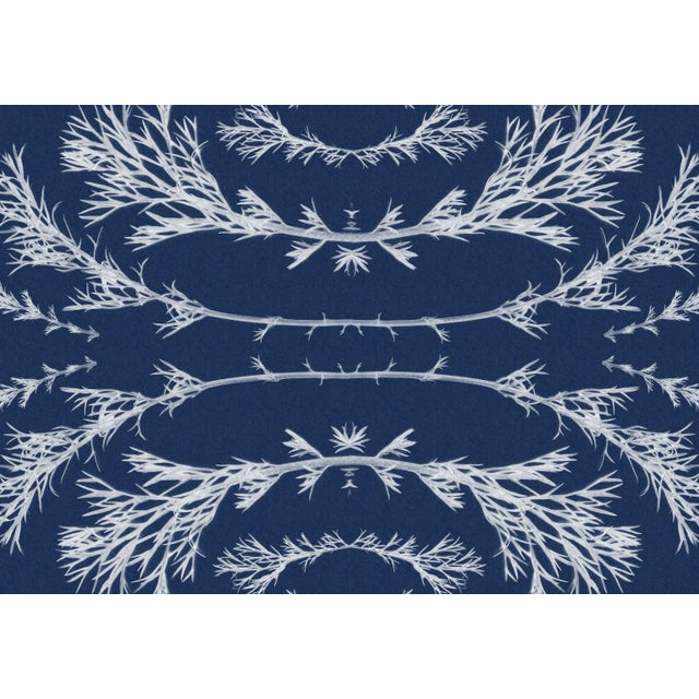 "Vintage Pressed Flowers Nº2" Botanical Composition in Classic Blue, Original Cyanotype on Watercolor Paper 2020, Limited Edition 1/20 For Sale - Image 4 of 10