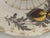 Glass Antique Milk Glass Plate: Hand Painted Church Scene, Gold Gilt Border For Sale - Image 7 of 9