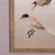 Early 20th Century 1930's Vintage Bird Wall Panel For Sale - Image 5 of 8
