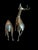 Large Vintage Patina Brass Pair Deer Buck Doe For Sale - Image 9 of 9
