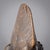 Early 20th Century Bamana Jonyeleni Female Figure Mali For Sale - Image 4 of 13