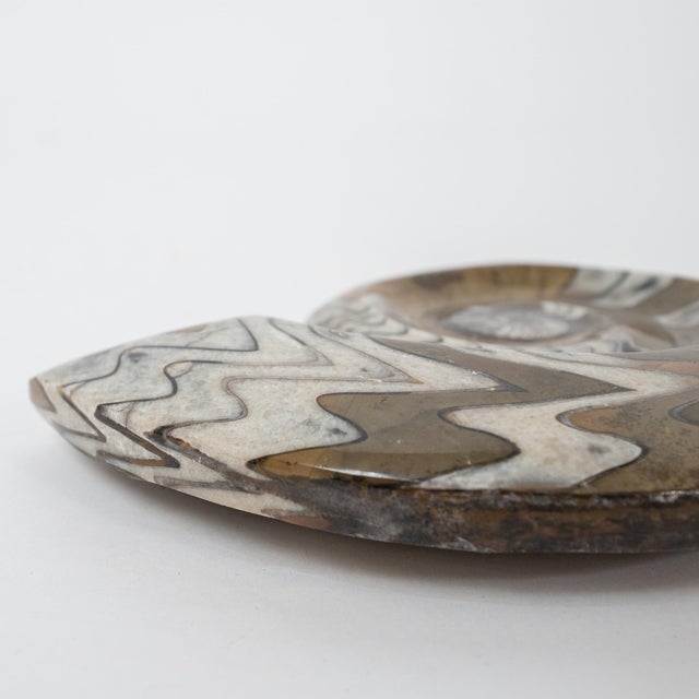 Contemporary Large Polished Ammonite Fossil From Madagascar, Late Cretaceous Period For Sale - Image 3 of 4