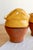 Ceramic Vintage Wall Planters in Yellow Glazed Stoneware, 1980s, Set of 2 For Sale - Image 7 of 8