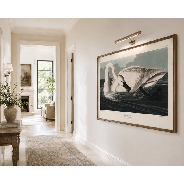 Trumpeter Swan, 1827 – John James Audubon Vintage Bird Art Print, 40" X 60" For Sale In Buffalo - Image 6 of 8