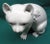 Antique 19th Century Chinese Blanc De Chine Porcelain Figure of a Cat For Sale - Image 4 of 8
