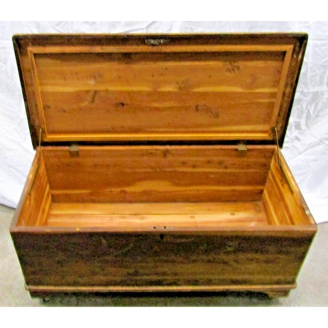 Mid 19th Century 19th Century Early American Style Cedar Constructed Trunk Blanket Chest Castors For Sale - Image 5 of 16