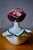 Figurative Ring Holder in Glazed Earthenware, 1950s For Sale - Image 11 of 14