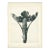 1928 Original Period Photogravure N51 of Plume Poppy by Karl Blossfeldt For Sale