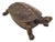 Brass Turtle Box, 1970s For Sale