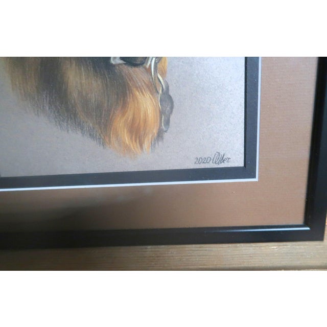 Paint Portrait of a Dog - "My Fur Kid" - Artist Signed, a Bright Addition to Any Decor! For Sale - Image 7 of 10