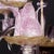 Magnolia Chandelier in Murano Glass, 1950s For Sale - Image 4 of 9