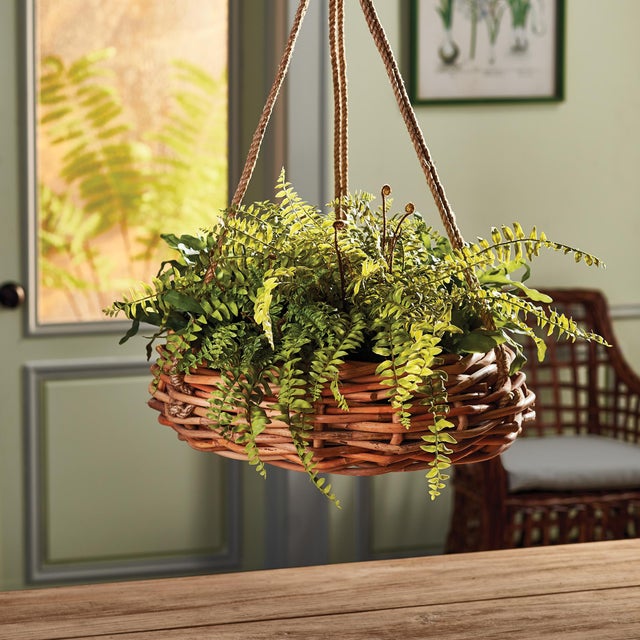 Realism Boston Fern Rustic Drop-In 12" For Sale - Image 3 of 3