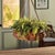 Realism Boston Fern Rustic Drop-In 12" For Sale - Image 3 of 3