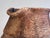 Rustic Rustic Studio Ceramic Jug Vase by Gerhard Liebenthron, Bremen, Germany, 1970s For Sale - Image 3 of 13