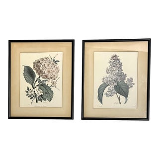 Pair Vintage English Country House Framed Floral Botanical Prints After Redoute and Chirat For Sale