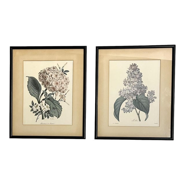 Pair Vintage English Country House Framed Floral Botanical Prints After Redoute and Chirat For Sale