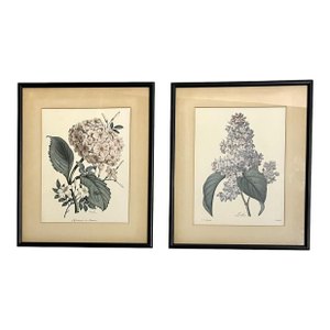 Pair Vintage English Country House Framed Floral Botanical Prints After Redoute and Chirat