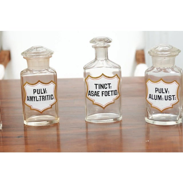 Glass 1840s French Louis-Philippe Period Glass Apothecary Jar with Latin Label For Sale - Image 7 of 12