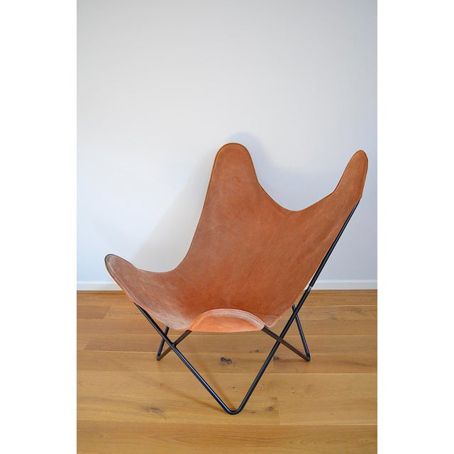 Bauhaus Butterfly Chair attributed to Jorge Hardoy-Ferrari for Knoll, 1960s For Sale - Image 3 of 18