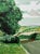 Paper David Hockney, Road and Trees Near Wetwang, Print For Sale - Image 7 of 9