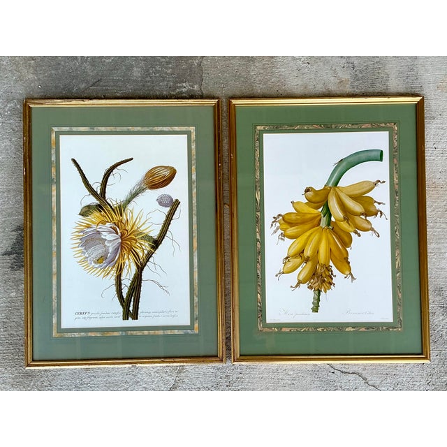 Forest Green Vintage Ehret Botanical Plates - Set of 2 For Sale - Image 8 of 12