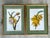 Forest Green Vintage Ehret Botanical Plates - Set of 2 For Sale - Image 8 of 12