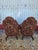 Elegant pair of armchairs has a tufted tapestry back with a floral pattern in shades of brown, tan, and burgundy. The seat...